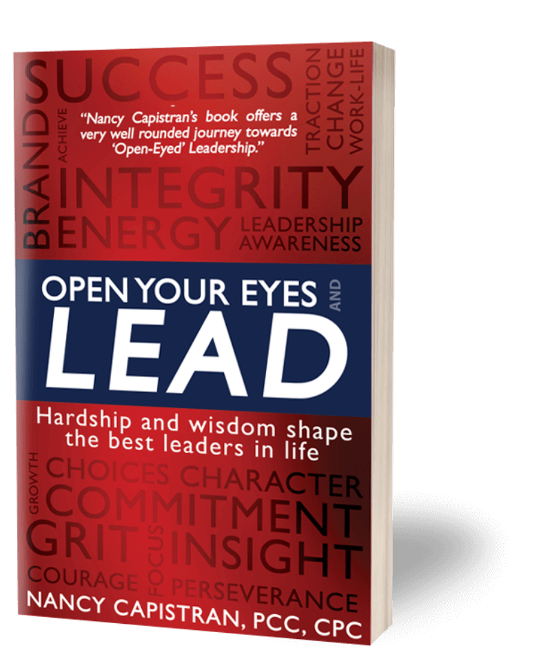 Open Your Eyes And Lead - leadership coaching book cover